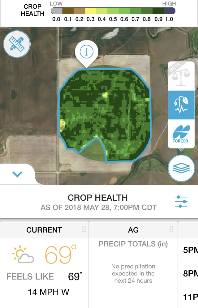 Public demo crop-health field view using safe shareable data